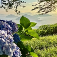 紫雲出山からおはようございます。
