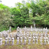 　丹波七福神巡り3完（養仙寺　神応寺）　黒猫顔のアップ