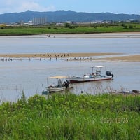 何時もより少しだけ余計に走った