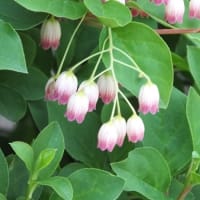 多数派という意識こそが差別を生む