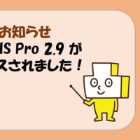 ArcGIS Pro 2.9 がリリースされました！