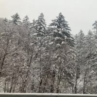 北へ二人旅'25-7