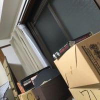 引越珍道中！