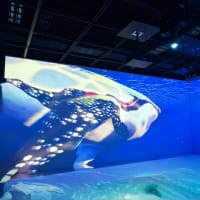 2025.5月のイベント出店