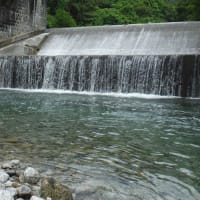 大島河原河川公園オートキャンプ場 blueberryの釣行記