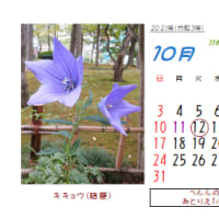 ◎10月の花：2006～2021～まとめ