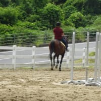 他馬と接近