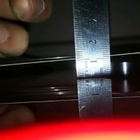 マイマイすり合わせしたよ！②