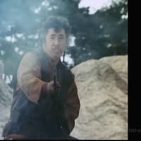 戦国ロックはぐれ牙」梶芽衣子はフレームに収めずにはいられない