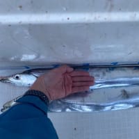 釣果報告‼︎20250118釣りぞめ