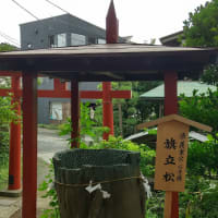 6月2日開催【史跡散歩会 】「鎌倉 武家の都への道」