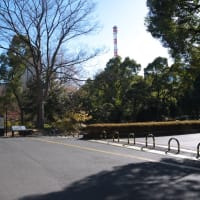 １月の霞が関：祝田橋交差点から内堀通りの歩道を歩いて西幸門交差点前へ　ＰＡＲＴ２