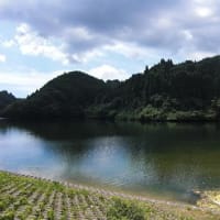 南房総にて２日間のバス釣り　奇跡の釣果！
