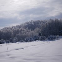 上富良野に通う