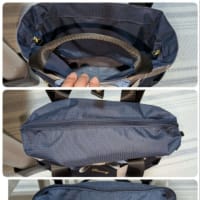 壁の絵を夏用に＆スワニーキャリーバッグを買ったけど返品