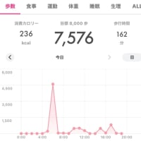 ちょっと運動