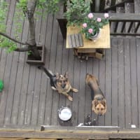 2011の春