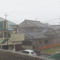 きょうも夕立ち