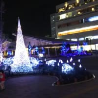 テラスモール湘南のクリスマスツリー