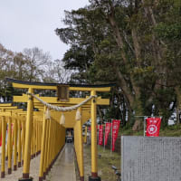 絶景ネモフィラ青梅号でひたち海浜公園へ