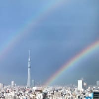 EL CANTARE 大川隆法 御法話抜粋集ー身体コンプレックスーあなたのための心の処方せん