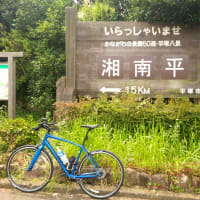 輪行で神奈川へ。湘南平を自転車で登る。