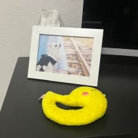 大阪へ　最終章