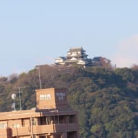 朝日を浴びる松山城