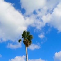 沖縄でリゾートウェディング♪
