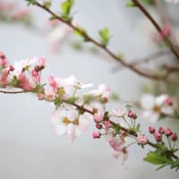 ちょっと お休みします