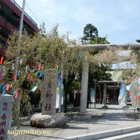 南台の鎮守「二宮神社」の七夕飾り！！