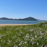 大学1年生　5月