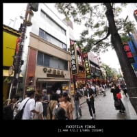 デジタルアナログ：横浜中華街でinstax palの撮影スタイルを探る