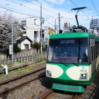 今日の世田谷線　2025.4.6②