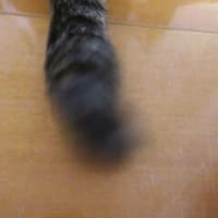 「ジュリアの篭絡法」