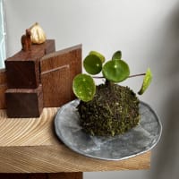 心温まる個展