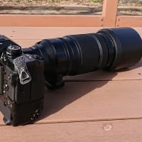 テレコン2倍のサンプル　XF100-400ｍｍとXF2X