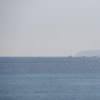 今日の相模湾