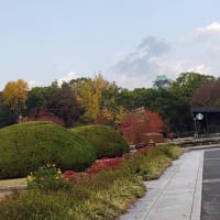 大阪城公園（紅葉）
