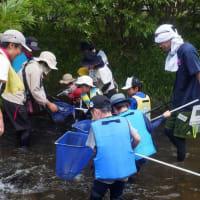 わんぱく遊び隊！通信　2025年7月6日(日)川で魚とりをしよう！