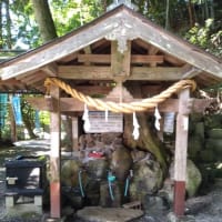 名水百選・・・よみがえりの水