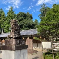 住処を奪われる