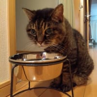 悩む必要は無かろう