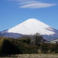 冠雪の富士山