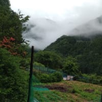 令和7年6月13日・今朝の東祖谷18℃（15.0℃）