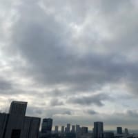 7/4の朝の空
