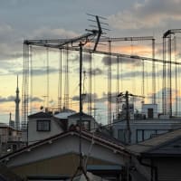 2025/7/13の夕焼け