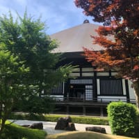 貴重な晴れ間