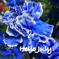 Hello July!