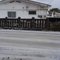 今朝の道路